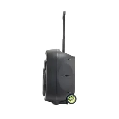 Altavoz inalámbrico Ibiza Sound Port12VHF-MKII-TWS 700W 2 micrófonos Bluetooth negro