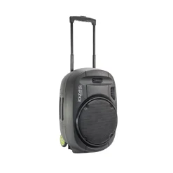 Altavoz inalámbrico Ibiza Sound Port12VHF-MKII-TWS 700W 2 micrófonos Bluetooth negro