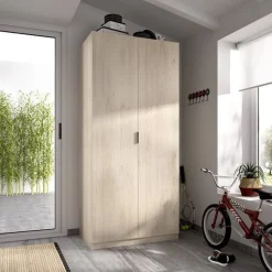 Armario Essen 2 puertas abatibles 184x81x52
