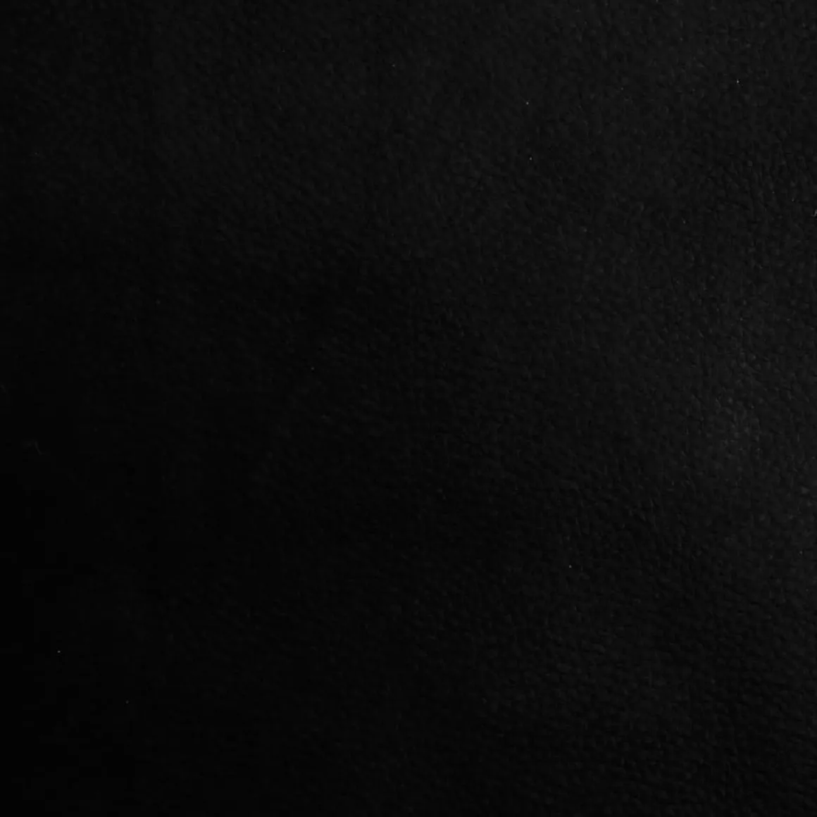 Banco de almacenaje Tristan tapa abatible + cojín negro 45x102x42 cm