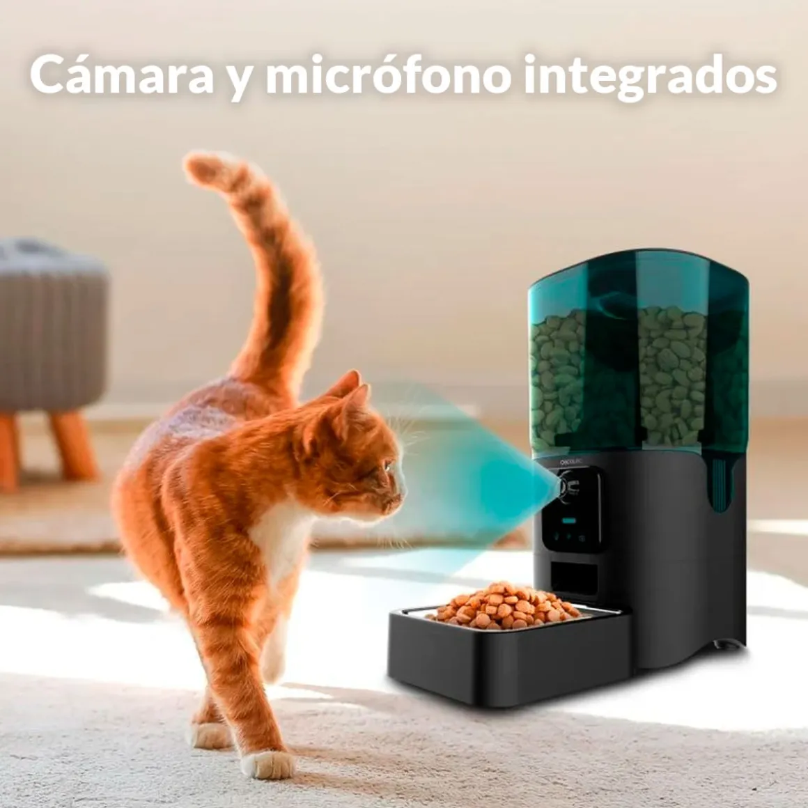 Comedero de mascotas automático Cecotec Pumba 6000 Purrfect Meal Smart Vision 6L WiFi, cámara y micrófono negro