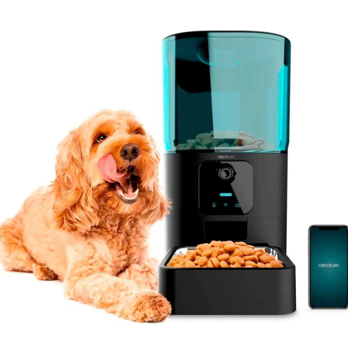 Comedero de mascotas automático Cecotec Pumba 6000 Purrfect Meal Smart Vision 6L WiFi, cámara y micrófono negro