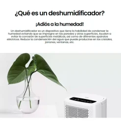 Deshumidificador Infiniton DHM-10L 200W 80m3/h blanco
