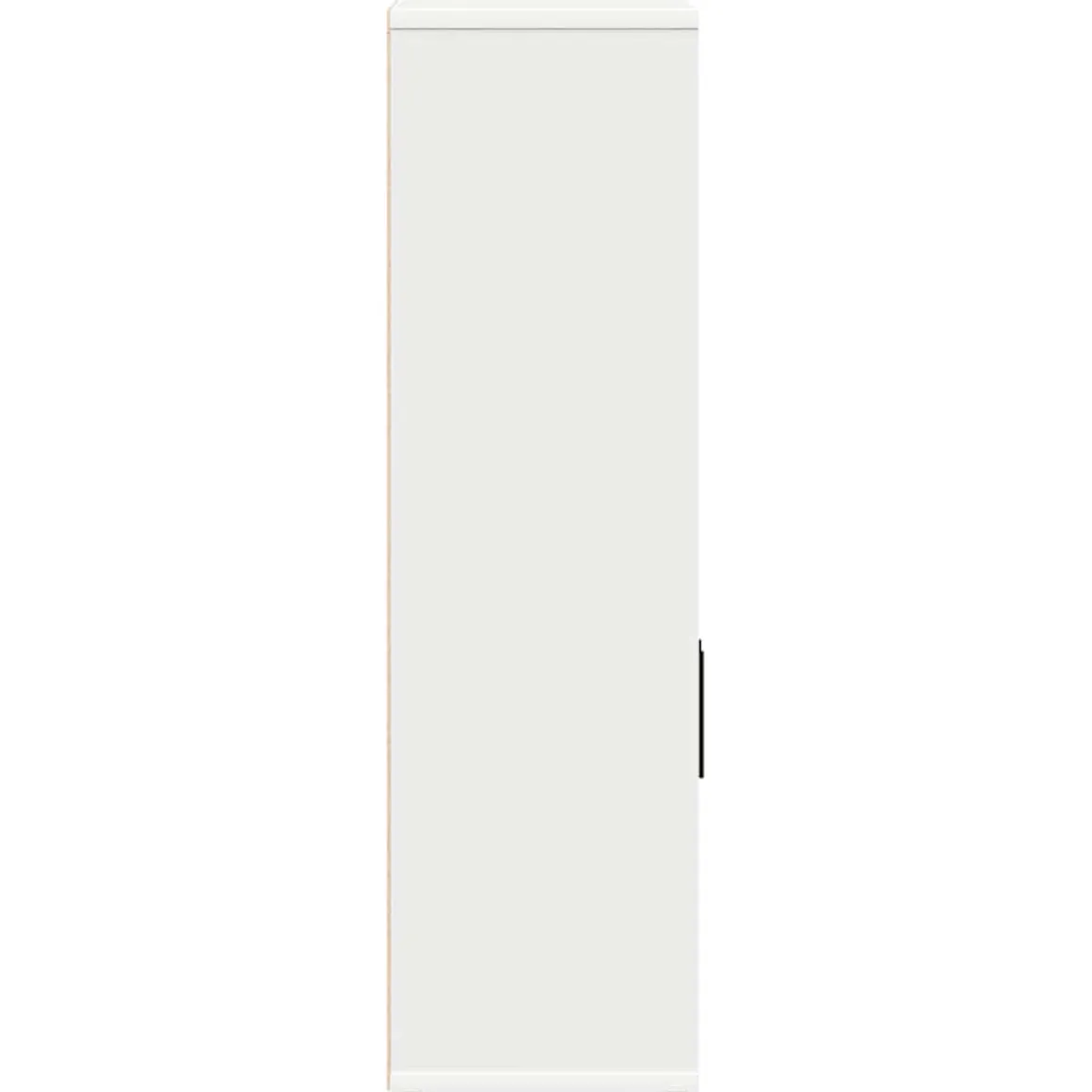 Estantería Lito 1 compartimento + 2 puertas blanco 85x60x24 cm