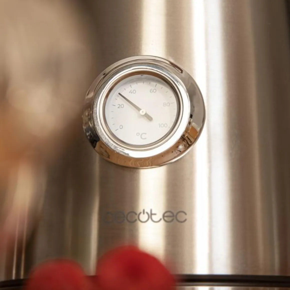 Hervidor de agua Cecotec Thermosense 620 Vintage 2200W 1,7L inox