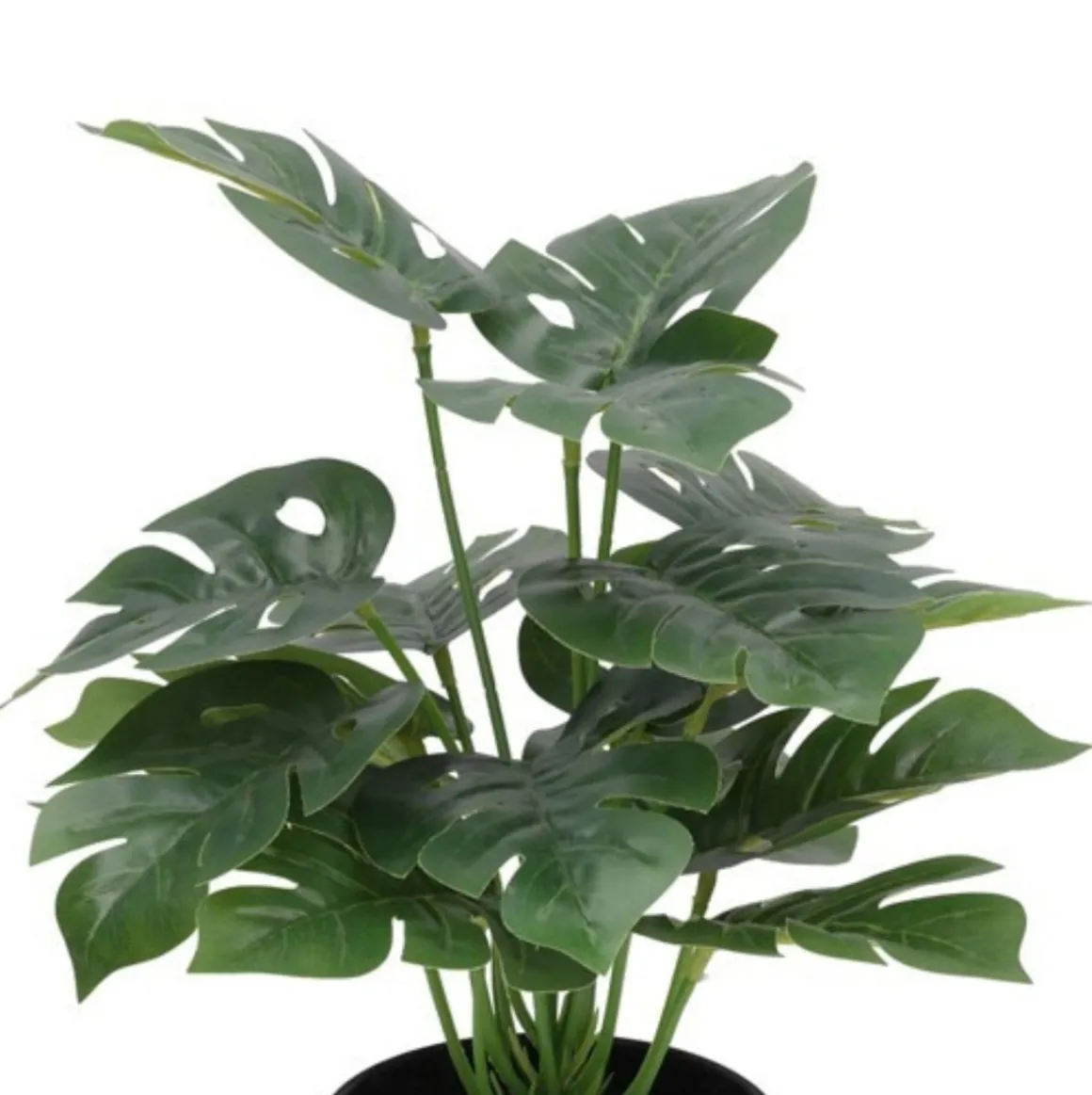 Maceta decorativa Monstera verde Ø27x35 cm