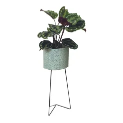 Macetero alto MOA Vinthera acero verde claro Ø28x58 cm