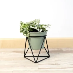 Macetero MOA Vinthera con base triangular verde claro 15x14,5x12,5 cm