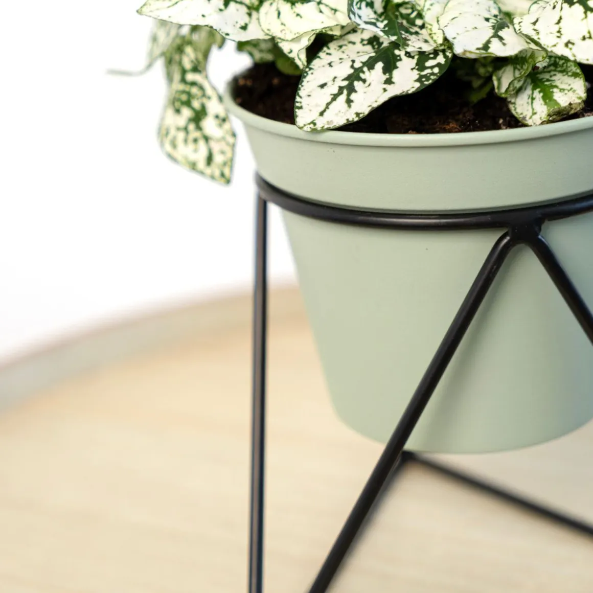 Macetero MOA Vinthera con base triangular verde claro 15x14,5x12,5 cm
