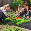 Malla de jardín Menorca Outsunny transpirable 60 g/m² negro 1x100 m