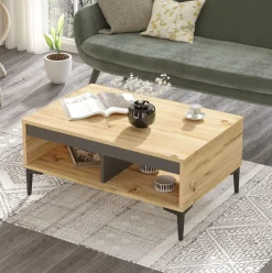 Mesa de centro Aristo 2 compartimentos natural/gris 46x90x60 cm