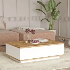 Mesa de centro Catalina 2 puertas blanco/natural 28,6x90x60 cm