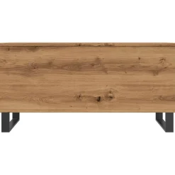 Mesa de centro elevable Centre con almacenamiento 45x90x44,5 cm