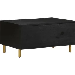 Mesa de centro Espino 2 cajones + 2 compartimentos negro 40x80x54 cm