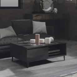 Mesa de centro Lena 1 puerta + 1 compartimento 35x90x60 cm