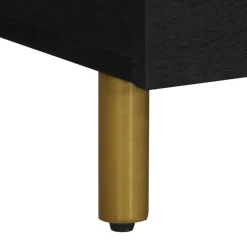 Mesa de centro Lope 2 armarios + compartimento negro 40x100x54 cm