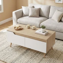 Mesa de centro Mistral Homcom 2 cajones natural/blanco 46x100x50 cm