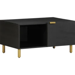 Mesa de centro Puma 1 puerta + compartimento negro 40x80x50 cm