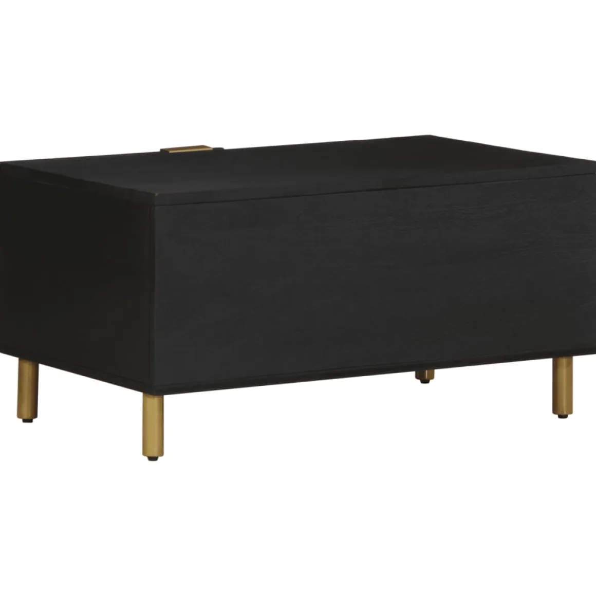 Mesa de centro Puma 1 puerta + compartimento negro 40x80x50 cm