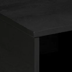 Mesa de centro Puma 1 puerta + compartimento negro 40x80x50 cm