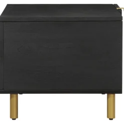 Mesa de centro Puma 1 puerta + compartimento negro 40x80x50 cm