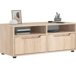 Mueble de TV Visnes 2 cajones + 2 compartimentos 38x100x40 cm