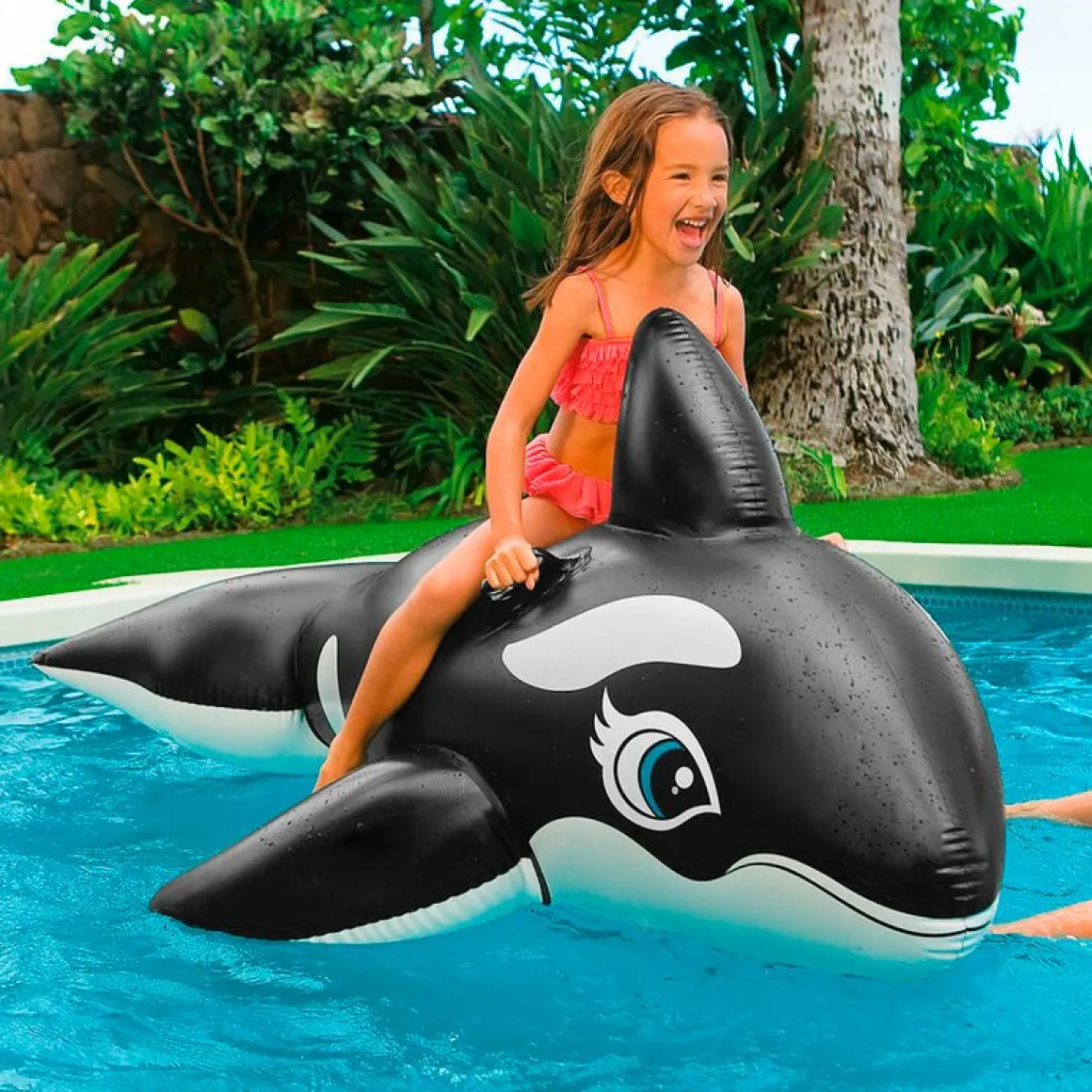 Orca hinchable