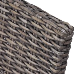 Pack de 2 sillas de comedor Kentucky ratán Kubu 93x46x61 cm