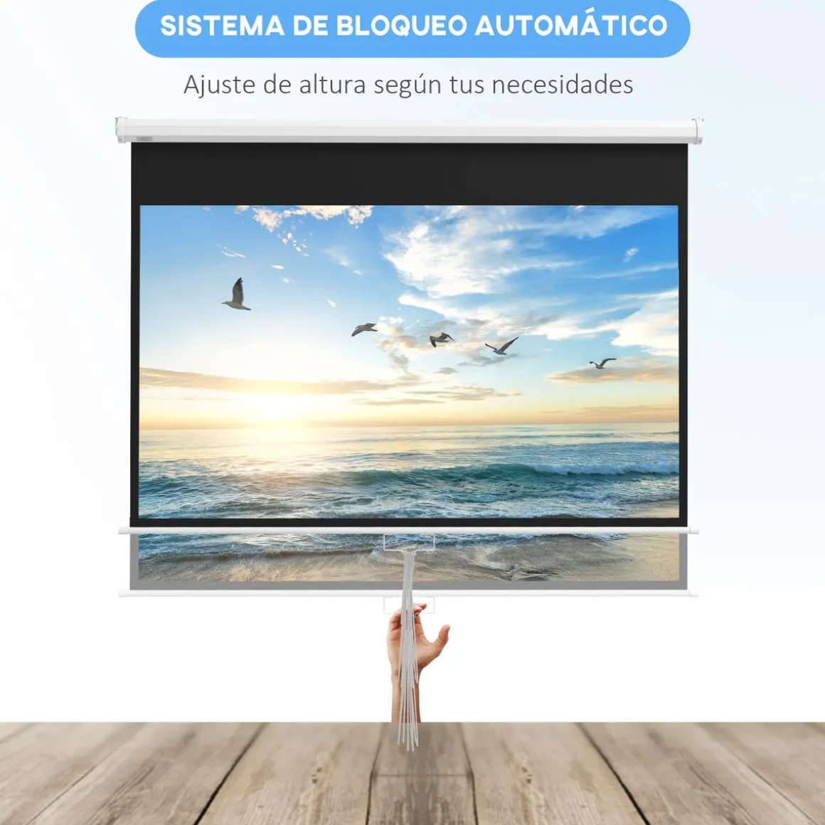 Pantalla de proyección Cinema Homcom 80'' altura ajustable blanco 150x187x8 cm