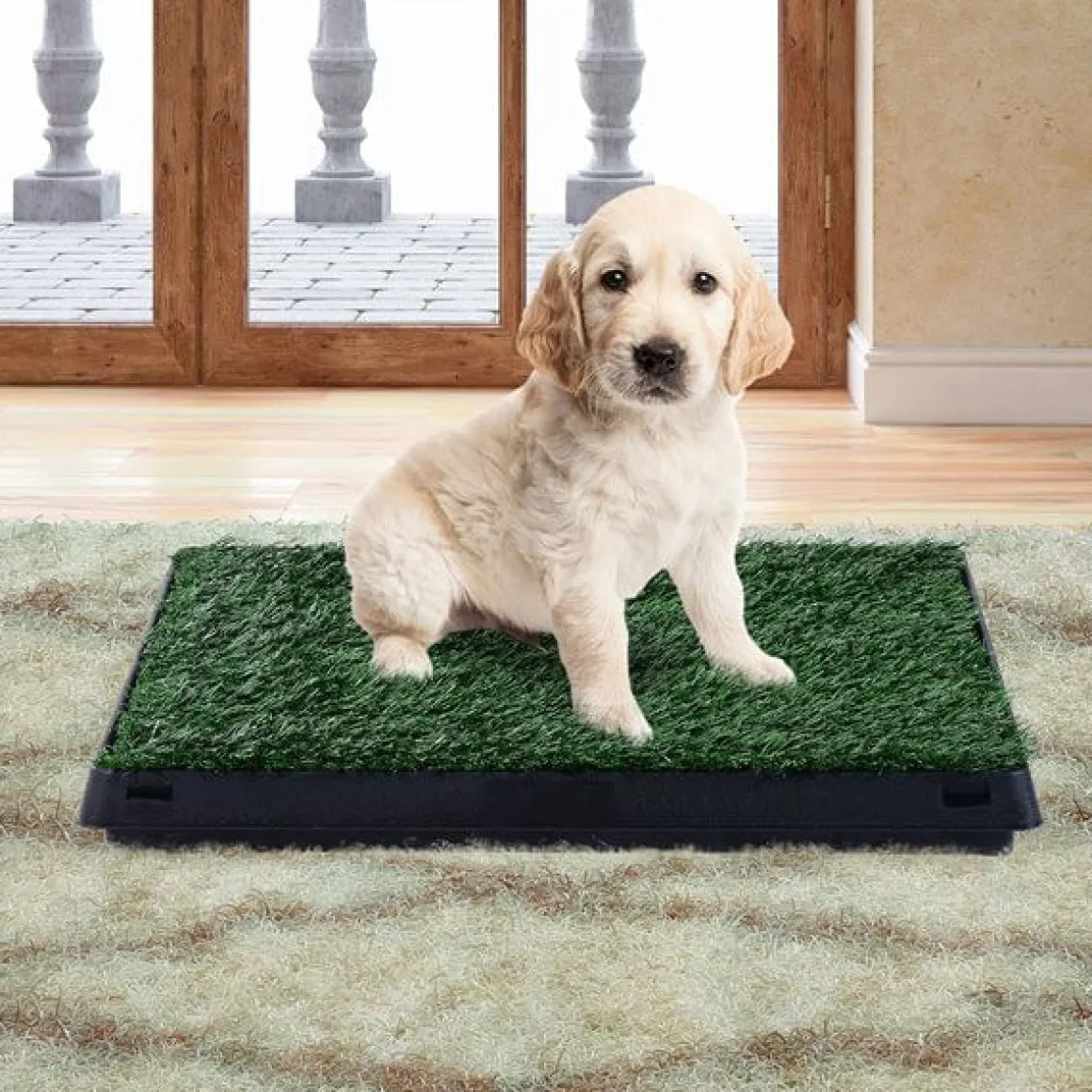 Pipican PawHut inodoro para perros efecto hierba verde 6x63x51 cm