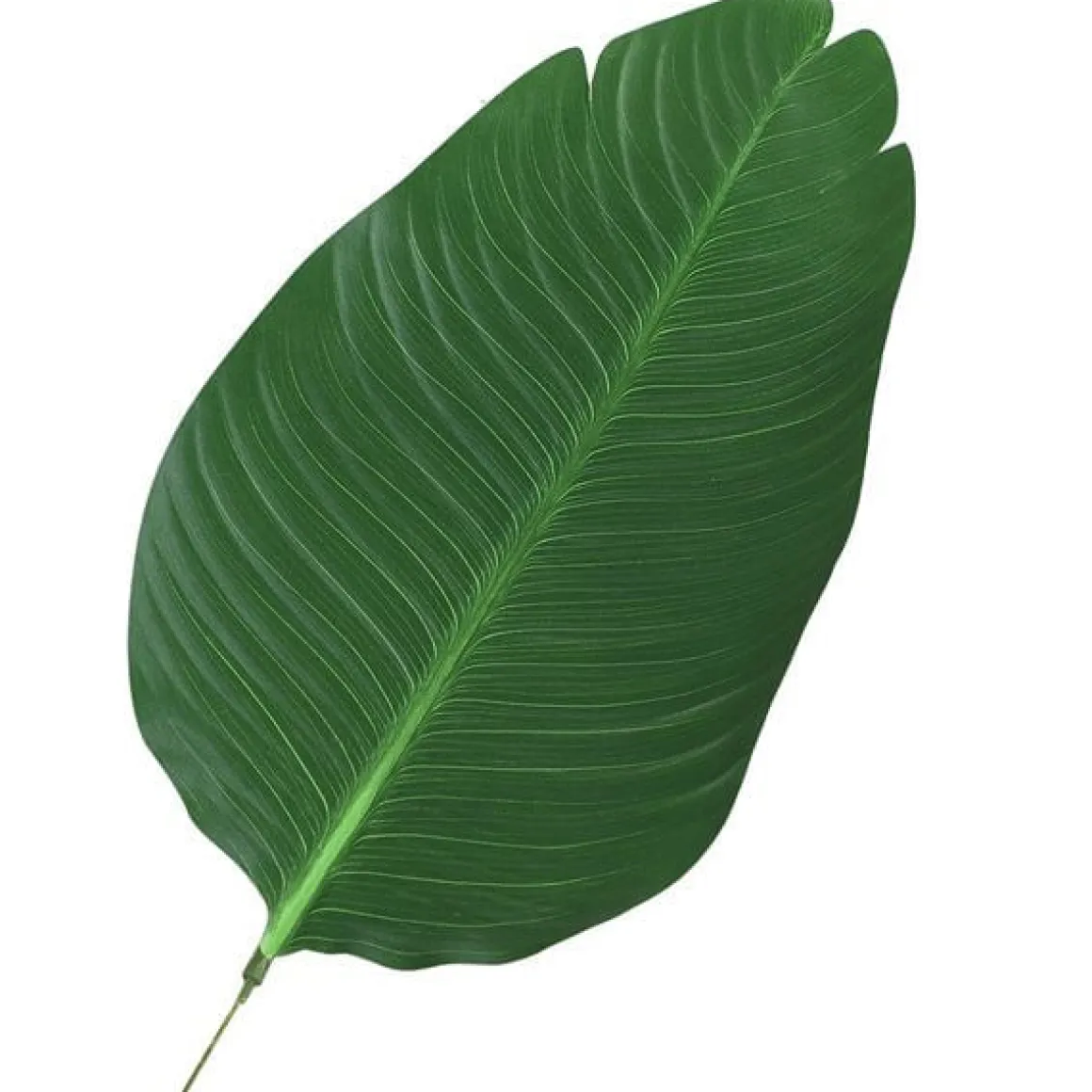 Planta de palma artificial con maceta 7 hojas verde Ø15x120 cm