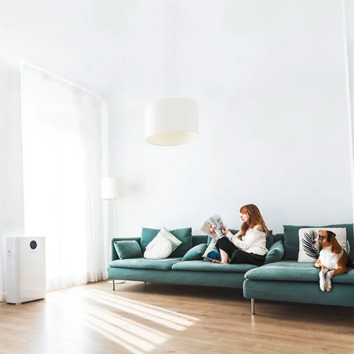 Purificador de aire Cecotec Total Pure 5000 Connected 360CADR WiFi blanco