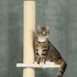 Árbol rascador para gatos PawHut altura ajustable 3 niveles crema 220/260x47x34 cm