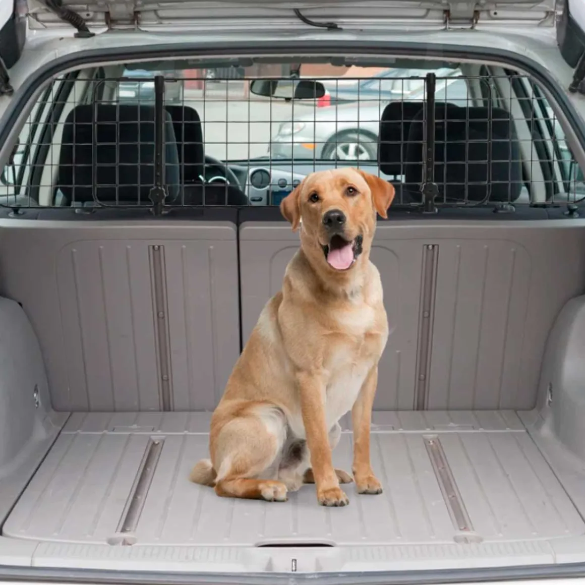 Rejilla de seguridad de coche PawHut para mascotas extensible negro 91/152x30 cm