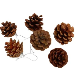Set de 6 piñas navideñas natural Ø6 cm