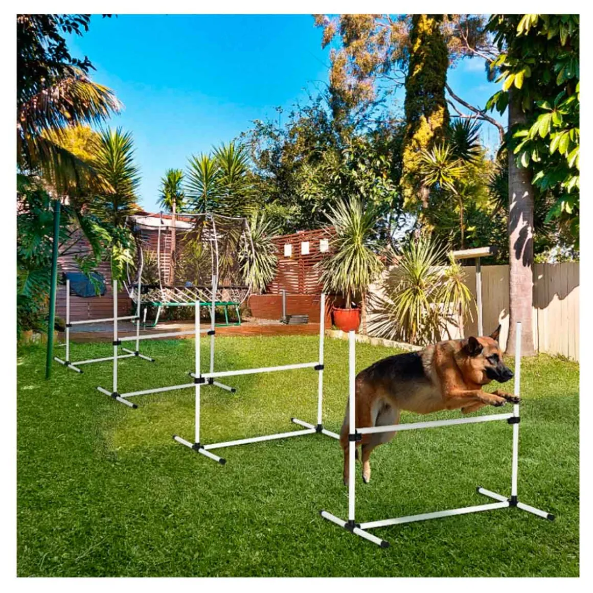Set de entrenamiento PawHut para perros 4 piezas + bolsa de transporte blanco 95x95x65 cm