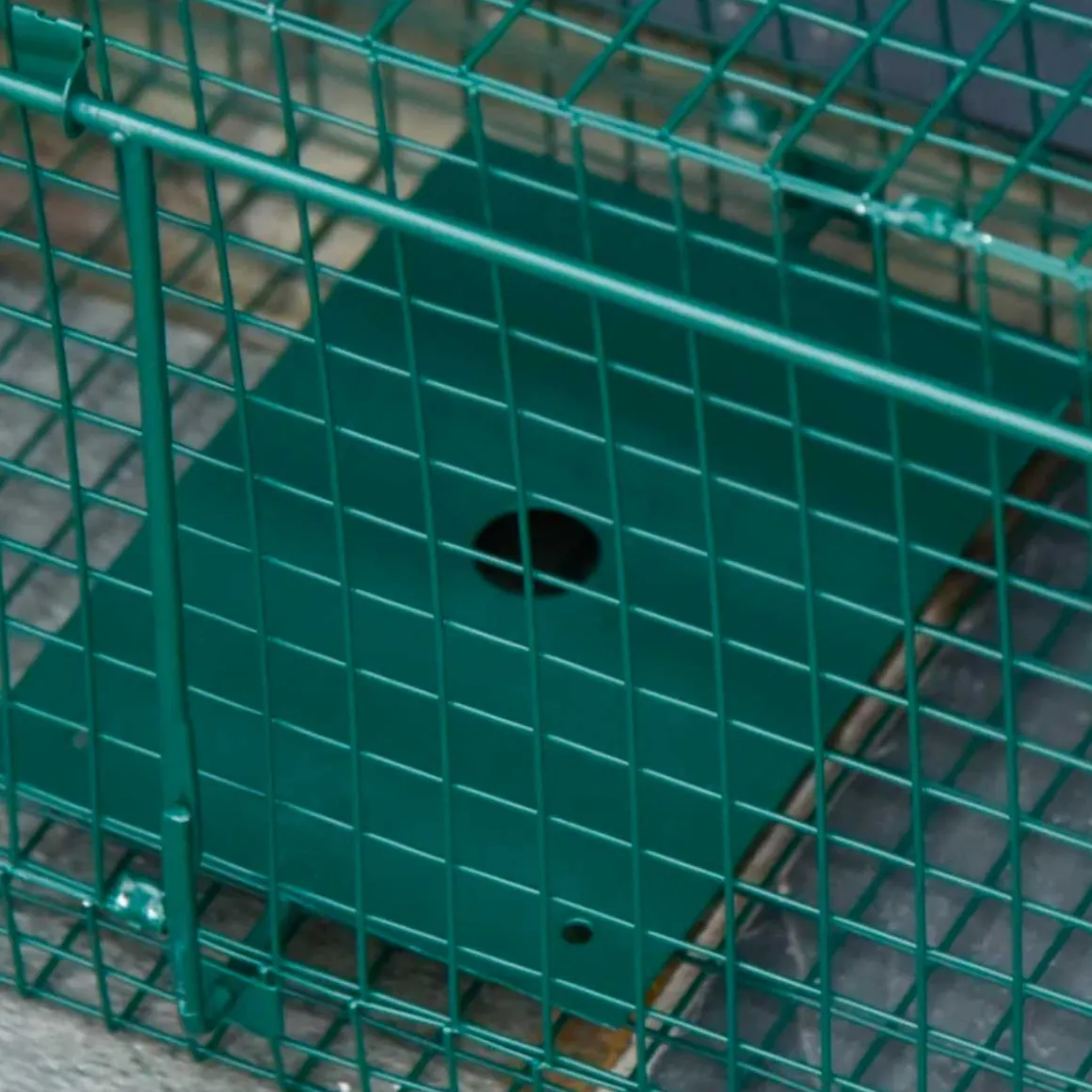 Trampa para animales PawHut metálica 2 puertas verde oscuro 28x100x25 cm