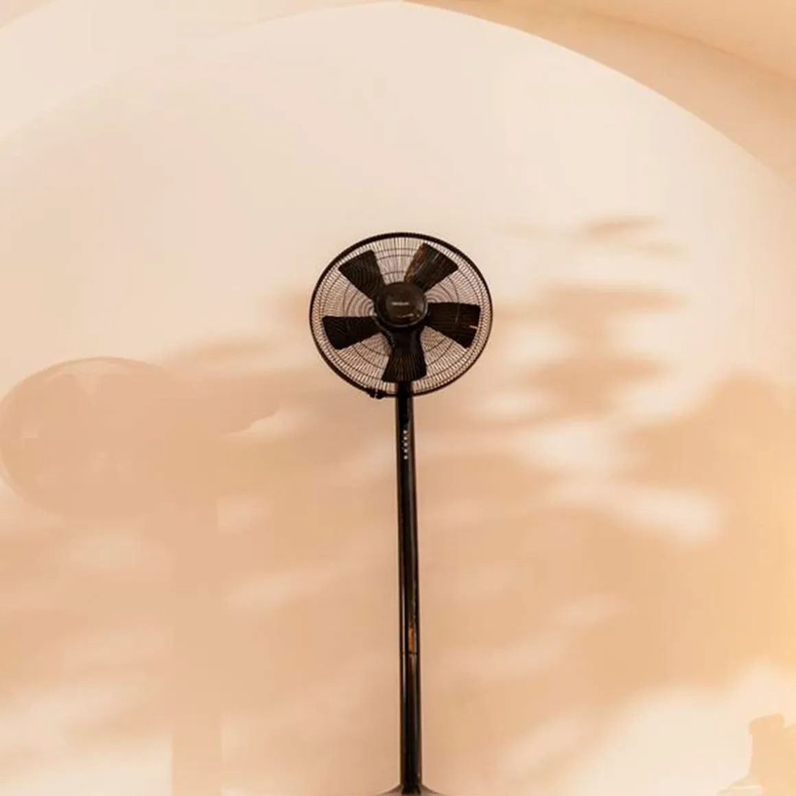 Ventilador de pie Cecotec EnergySilence 555 2 in 1 Smart XL 55W 2 en 1 negro